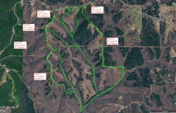 Young Loop, Fairmount, GA 30139