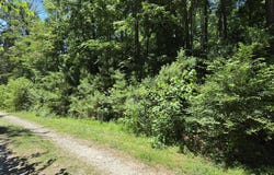 304 Kaw Trail lot: 10&11, Edenton, NC 27932