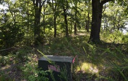 Cliffside Drive lot: 11, Galena, MO 65656