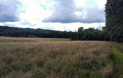460 Skaggs Road, Morehead, KY 40351