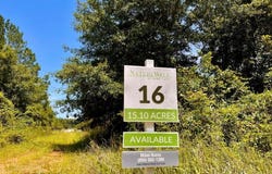 Naturewalk Dr lot: 16, Jay, FL 32565