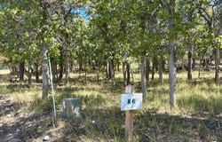 23220 N JUNIPER, Fairview, UT 84629