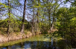 816 Cornelius Road, Utopia, TX 78884