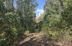 Camp Oliver Rd, Adger, AL 35006