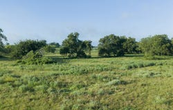 LCR 721, Kosse, TX 76653