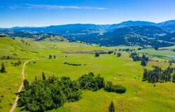 CROMWELL Rd, REPUBLIC, WA 99166