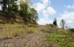 Cayey, Cayey, PR 00692