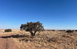 8539 Terry Trail, Snowflake, AZ 85937