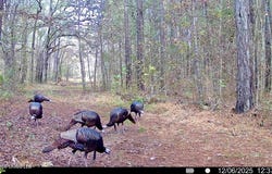 00114 Pocahontas Road, Flora, MS 39071
