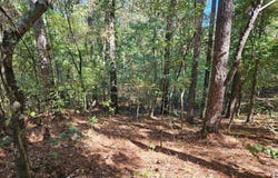 Ales Rd, BATESVILLE, MS 38606
