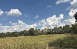 1429 Granby Miners Road, Granby, MO 64844
