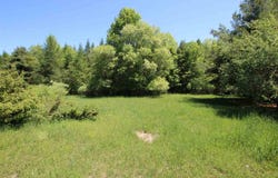 Hillman Road, Ellsworth, MI 49729