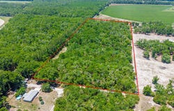 NW 40th Ave, Bell, FL 32619