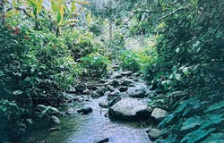 Orocovis, Orocovis, PR 00720