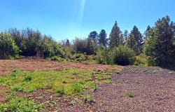 Shoreview Drive, Chiloquin, OR 97624
