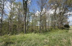 Curry Rd, Mc Arthur, OH 45651