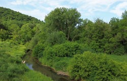 N1149 Brookside Dr, Shelby, WI 54601