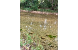 129 Madison CR 410, Fredericktown, MO 63645