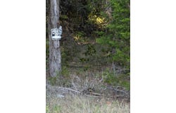 Lone Star Trail, Lead Hill, AR 72644