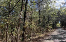 DOLL CONWAY Rd, Clifton, TN 38425
