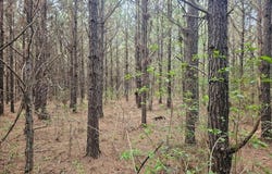 COUNTY LINE ROAD, Ruston, LA 71270