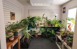 48247 HILLS St, Oakridge, OR 97463