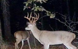 Peel Rd, Shirley, AR 72153