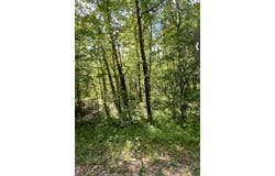 DOLL CONWAY Rd, Clifton, TN 38425