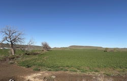 S Thacker Road, Hammett, ID 83627