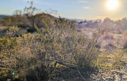 4025 E RED BARON Drive E, Rimrock, AZ 86335