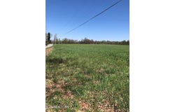 Old Martha Washington Rd, Clarkrange, TN 38553