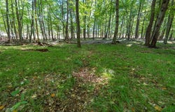 815th Avenue, Menomonie, WI 54751