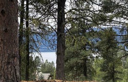 1483 Pine Lakes Ranch Rd, Cascade, ID 83611