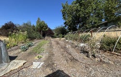 1239 N MYRTLE Rd, MyrtleCreek, OR 97457