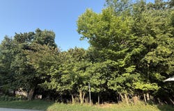 Skyview Drive, Branson, MO 65616