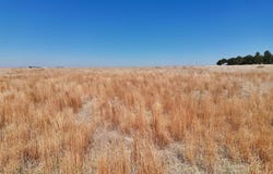 South Road H, Ulysses, KS 67880