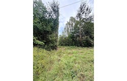Broadway, KENNARD, TX 75847