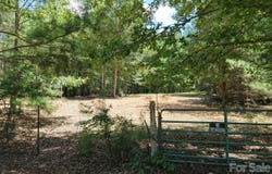 Montgomery Road, Blackstock, SC 29014