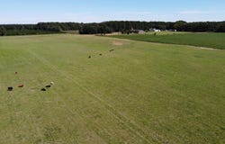 Tema Road, Hartsville, SC 29550