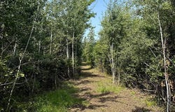 4 County Road T, Danbury, WI 54830