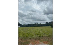Hadden Road lot: 1, Dothan, AL 36301