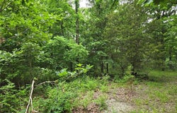 Mark Peterson Drive, Wright City, MO 63390