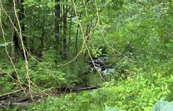 23 Folsom Rd, Fine, NY 13639