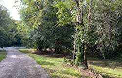 Circle Drive, Monroeville, AL 36460