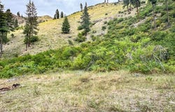 Salmon River Road, Riggins, ID 83549