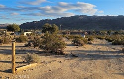 Nicolson, 29 Palms, CA 92277
