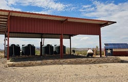 95 E Shadylane Dr, Terlingua, TX 79852