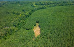 Taylor Road, Musella, GA 31066