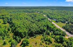 Parcel B, Honor Highway, Honor, MI 49640