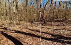 38 Sugar Tree, Sugar Mountain, NC 28604